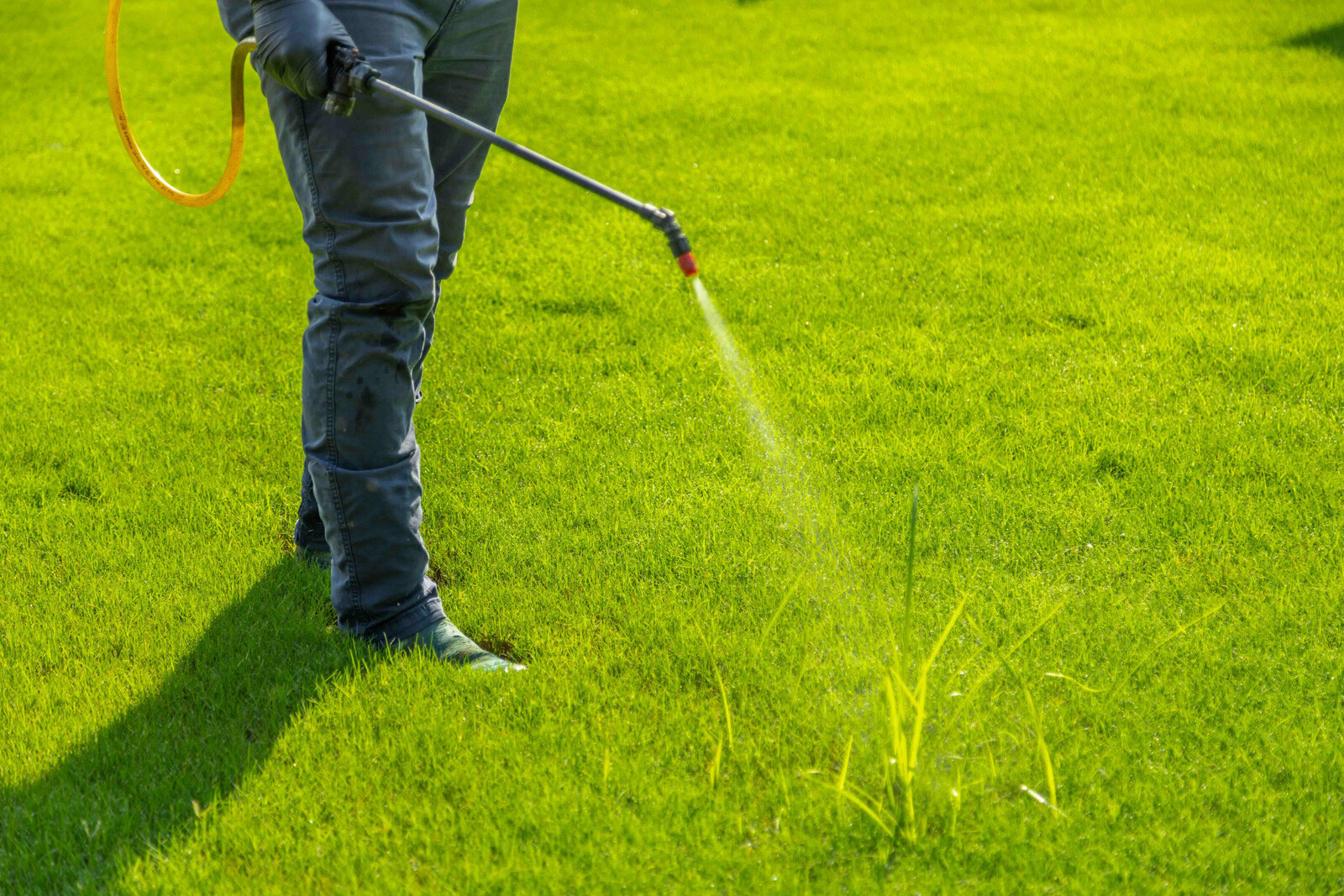 lawn care truck technician crew spot treatment weeds backpack spray hose action detail